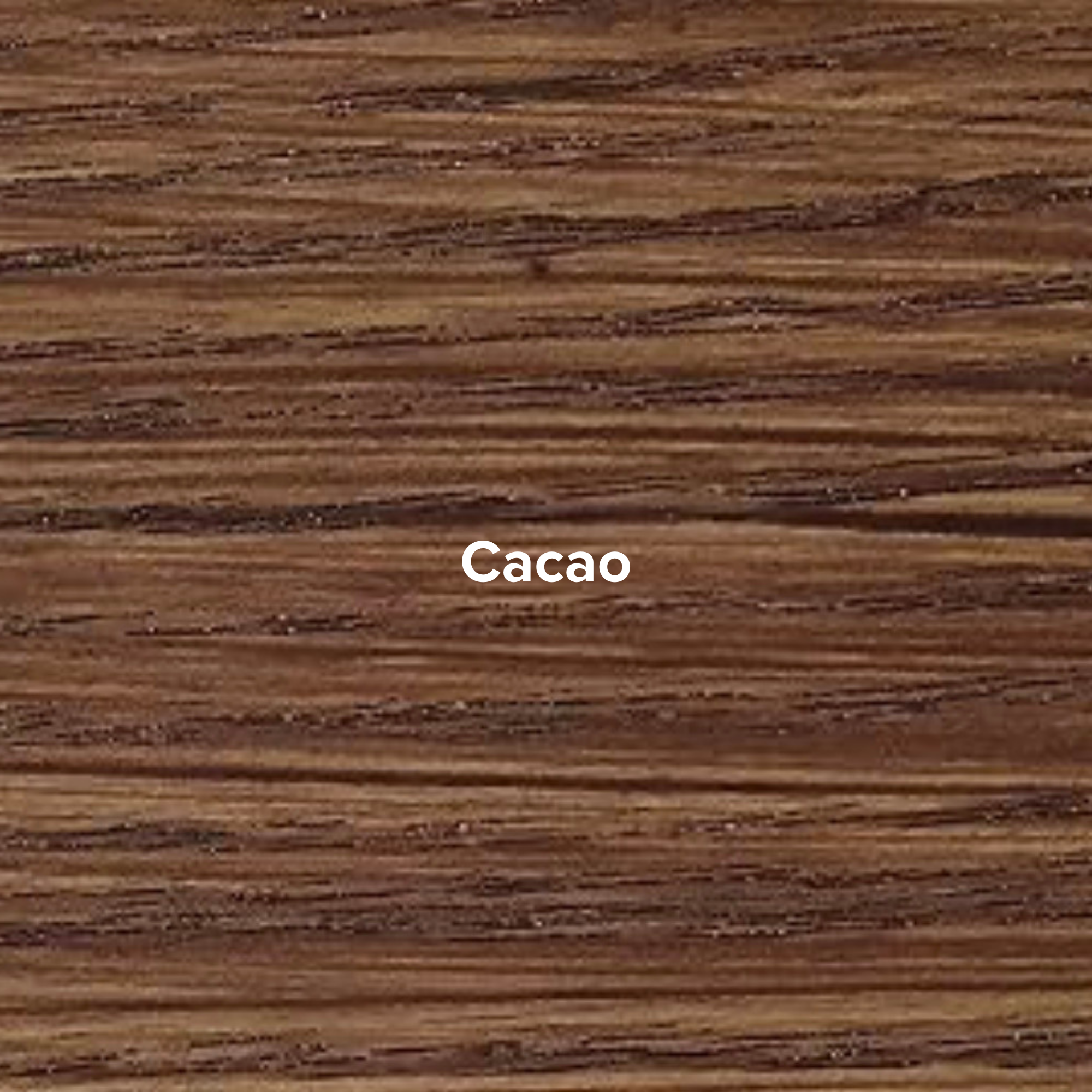 cacao